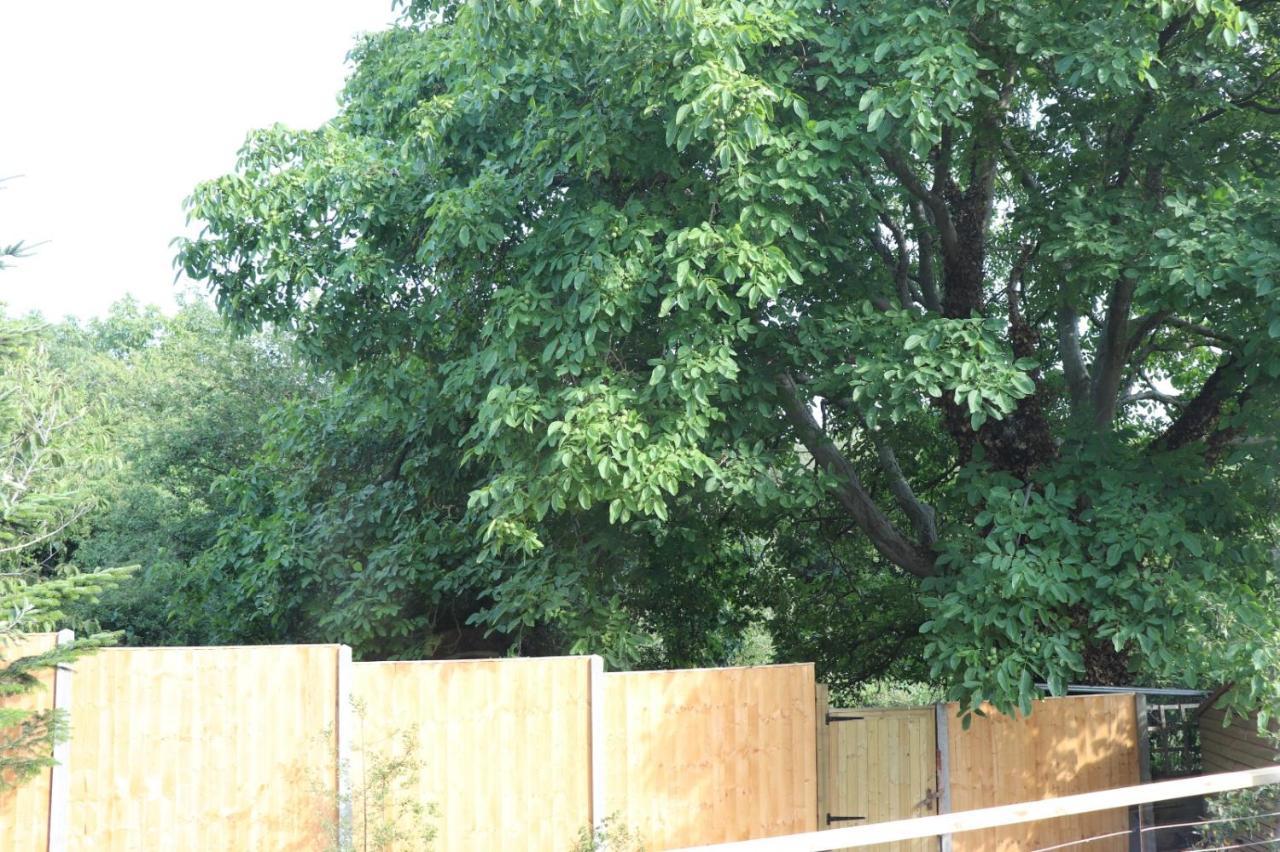 Villa Walnut Tree View à Oxford Extérieur photo